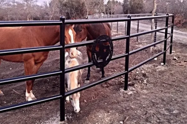 Livestock Fencing